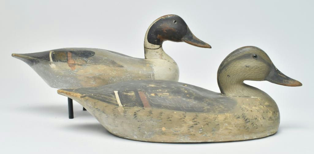 Wildfowler Decoy Company – Pair of Pintail – 2023