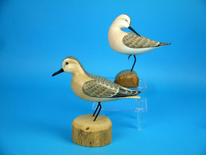 Harry V. Shourds – Two Sanderlings – 2026