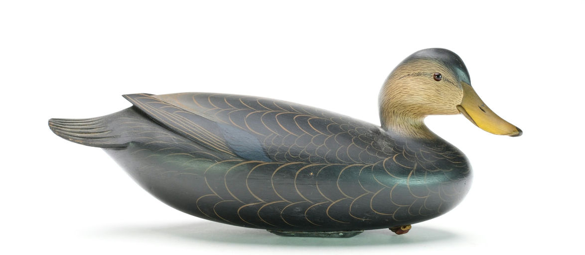 George Strunk – Black Duck – 2025