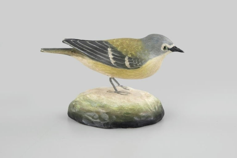 Frank Finney – Blue-Headed Vireo – 2026