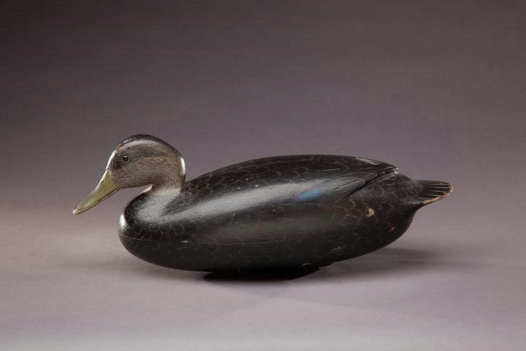 Joe King – Black Duck – 2012