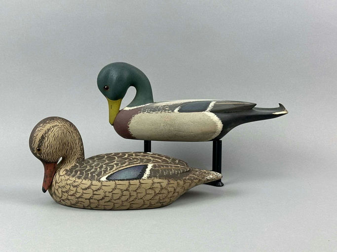 David Simandl – Mallard – 2026