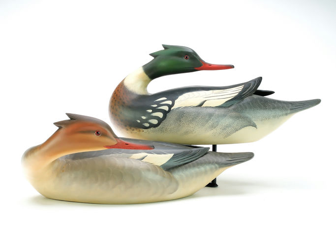 Keith Mueller – Pair of Red-breasted Merganser – 2025