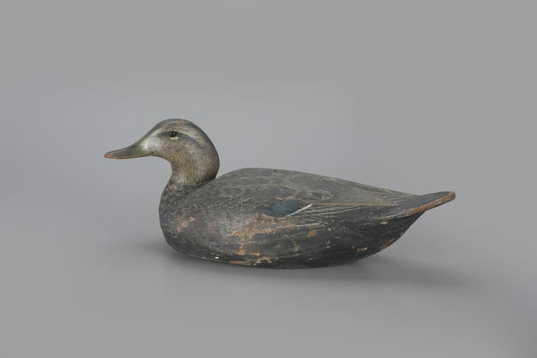 Ward Brothers – Black Duck – 2023