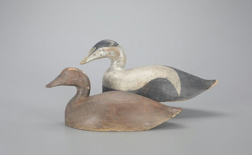 Pennell Alexander – Eider Pair – 2023