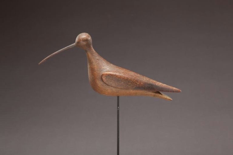Mark McNair – Eskimo Curlew – 2012