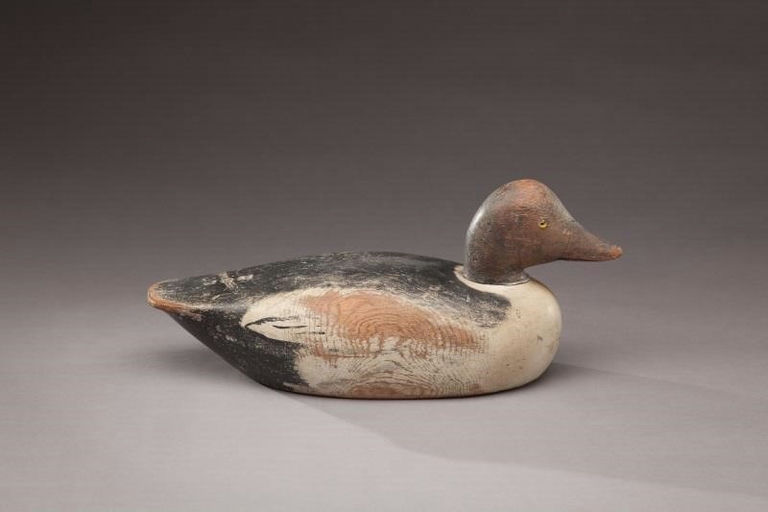 Keyes Chadwick – Goldeneye Drake – 2011