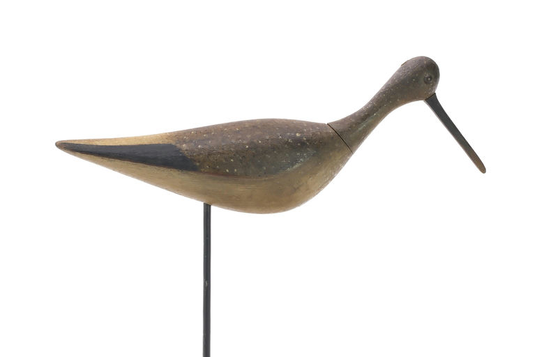 Mark McNair – Willet – 2024