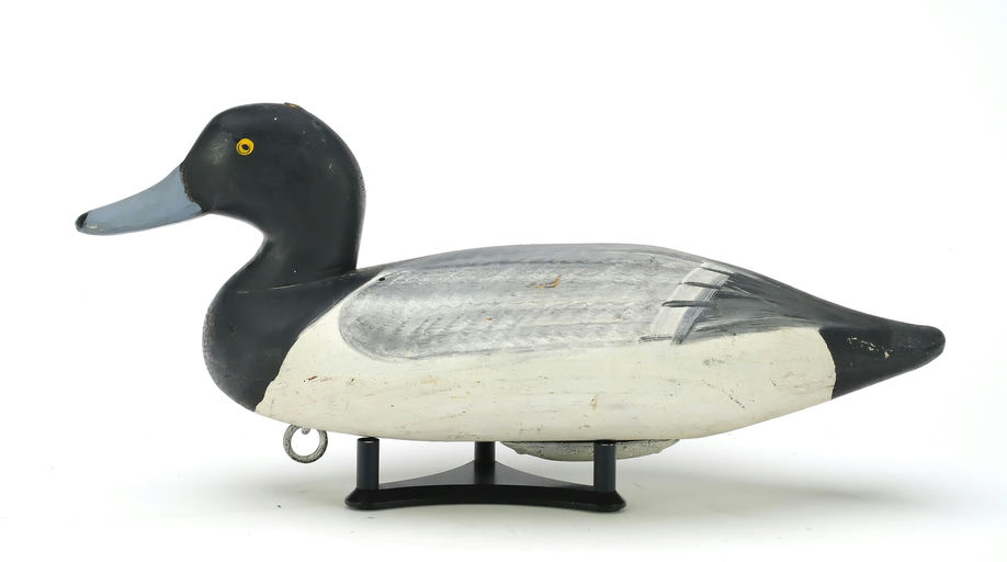 James Currier – Scaup – 2025