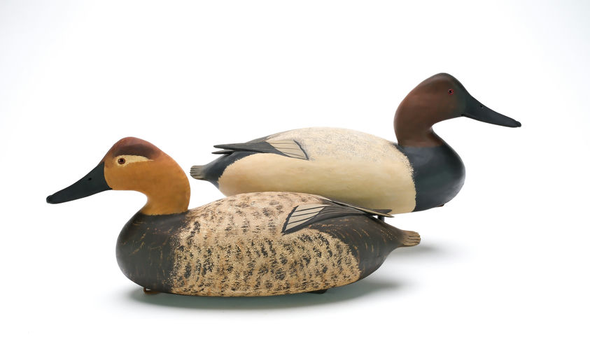 Bob White – Pair of Canvasback – 2025