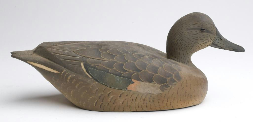 David W. Nichol – Green-winged Teal – 2023