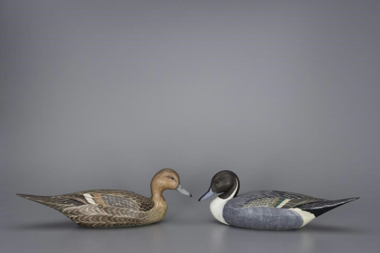 Davison B. Hawthorne – Pintail Pair – 2017
