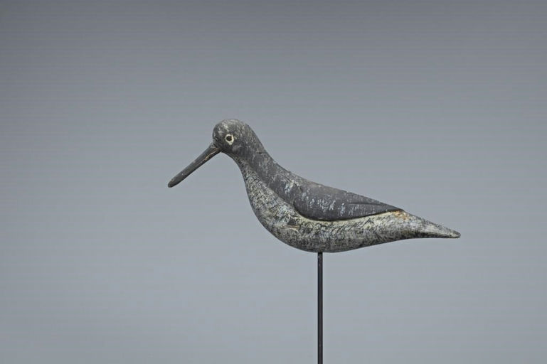 Verity Family – Yellowlegs – 2019