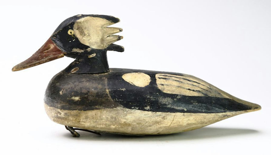 Doug Jester – Merganser – 2024