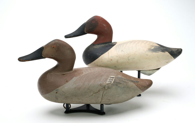 R. Madison Mitchell – Pair of Canvasbacks – 2025