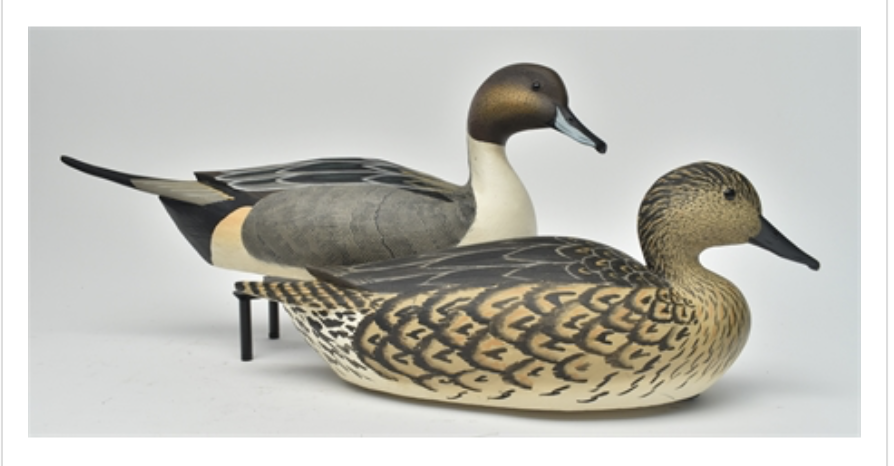 Grayson Chesser – Pair of Pintail – 2022