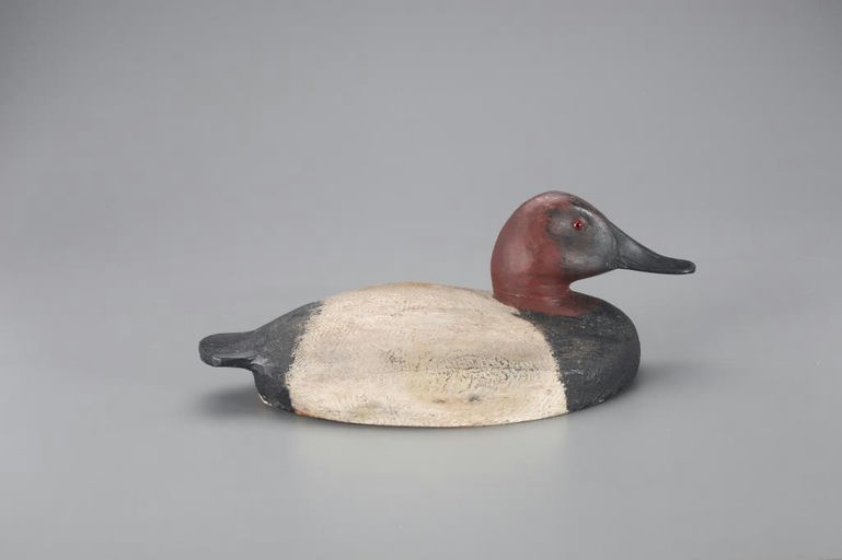 Dave Herbert – Canvasback Drake – 2022