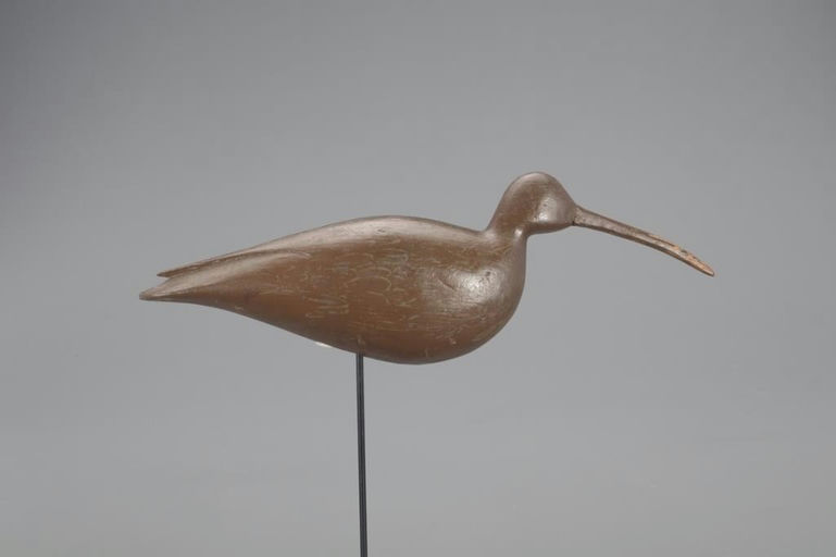 Charles Birch – Rare Curlew – 2021