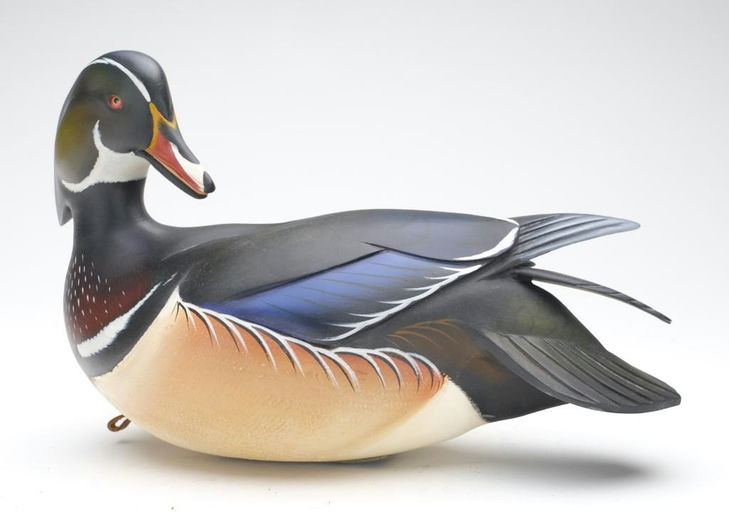 Sean Sutton – Wood Duck – 2023