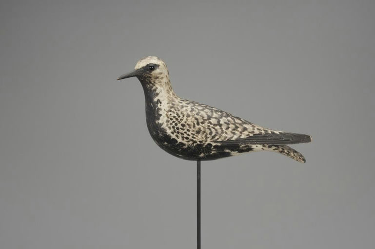 Elmer Crowell – Turned-Head "Dust Jacket" Plover – 2018