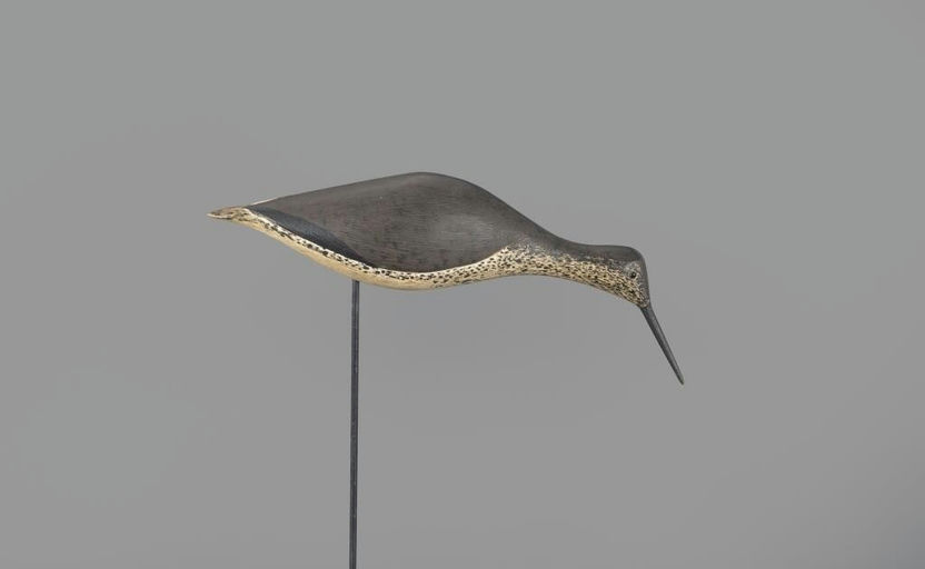 Thomas Gelston – Feeding Yellowlegs – 2024