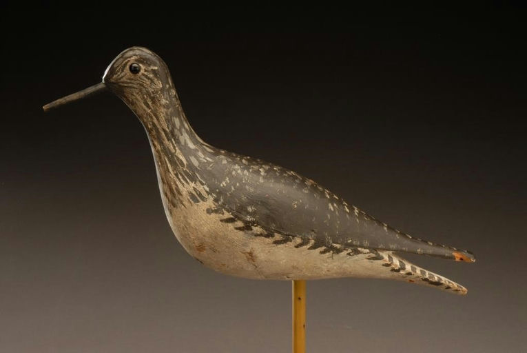 Austin Follet – Greater Yellowlegs – 2008