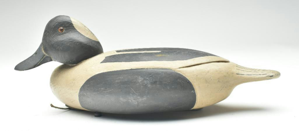 John McLoughlin – Bufflehead – 2023