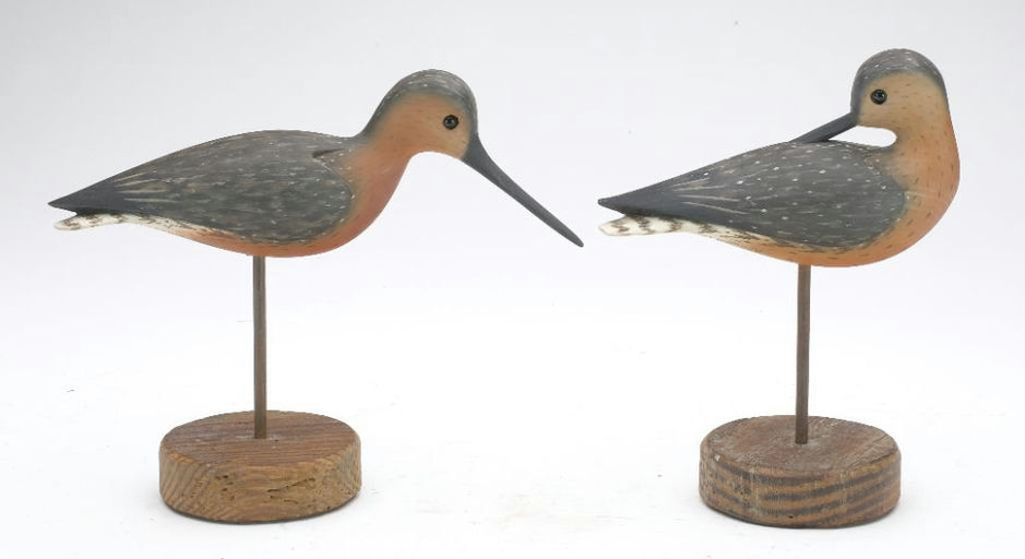 Pete Peterson – Pair of Dowitcher – 2023