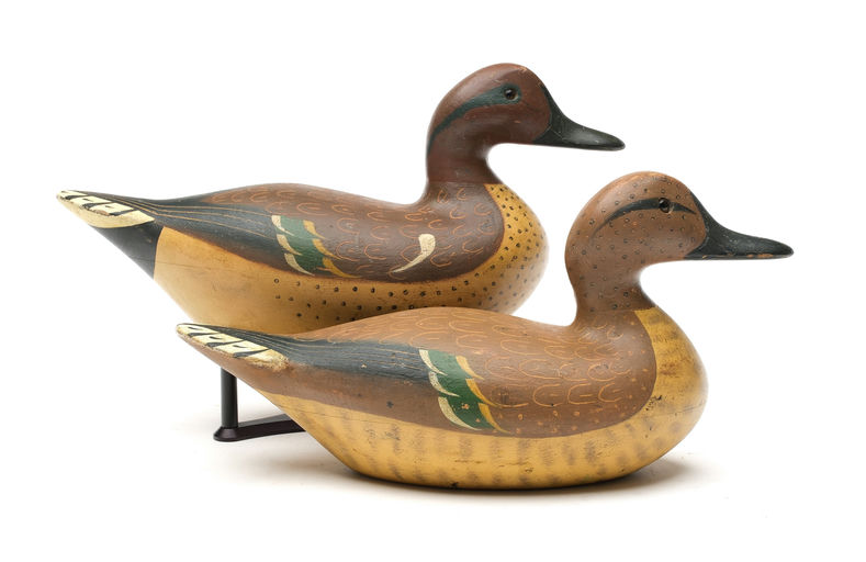 Charles Bergman – Green-winged Teal – 2026