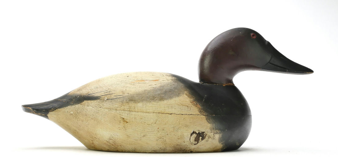 Mason Decoy Factory – Canvasback – 2025