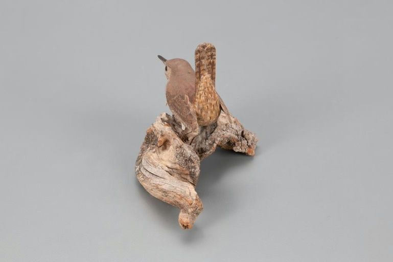 Jack and Bette Holt – House Wren – 2021