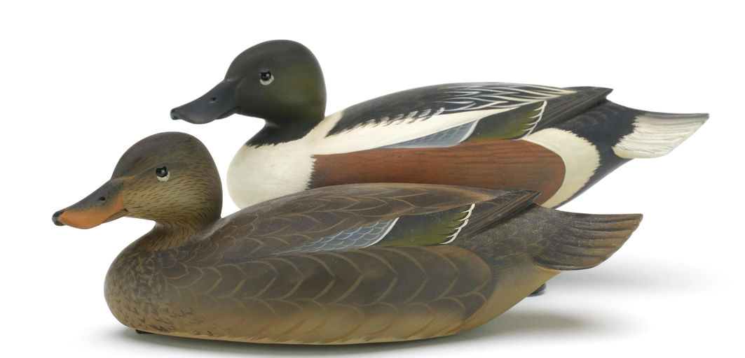 George Strunk – Pair of Shoveler – 2024
