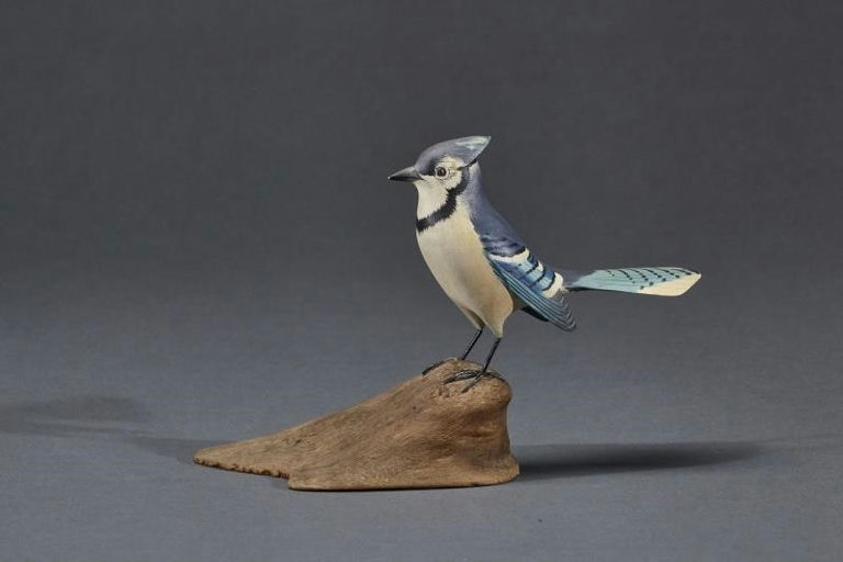 Robert Morse – Miniature Blue Jay – 2017