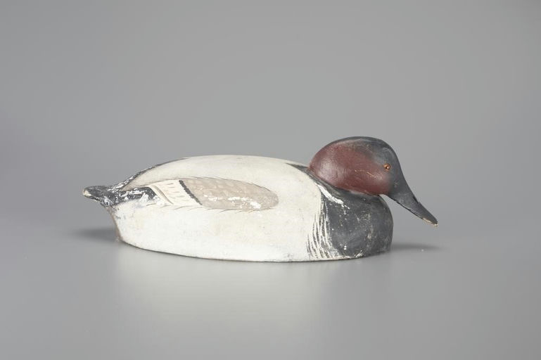 Ward Brothers – Tucked-Head Canvasback – 2024