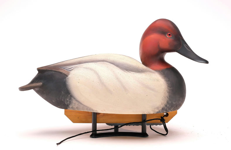 Ben A. Heinemann – Canvasback – 2024