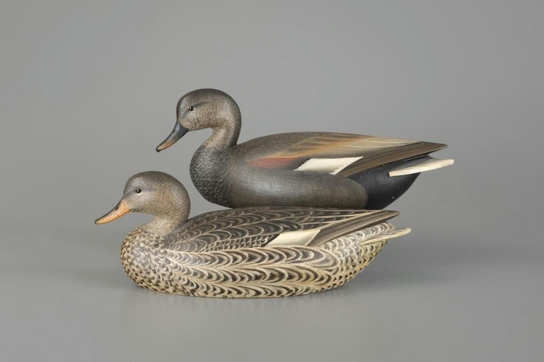 Marty Hanson – Gadwall Pair – 2025