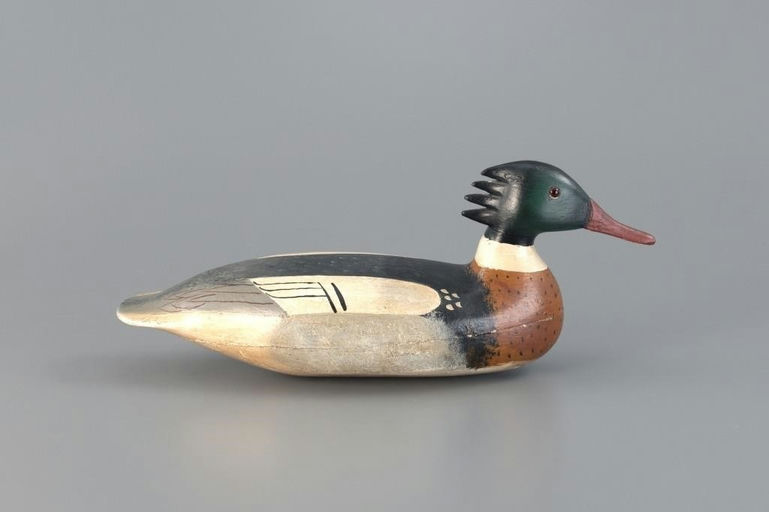 Harry V. Shourds – Merganser Drake – 2025