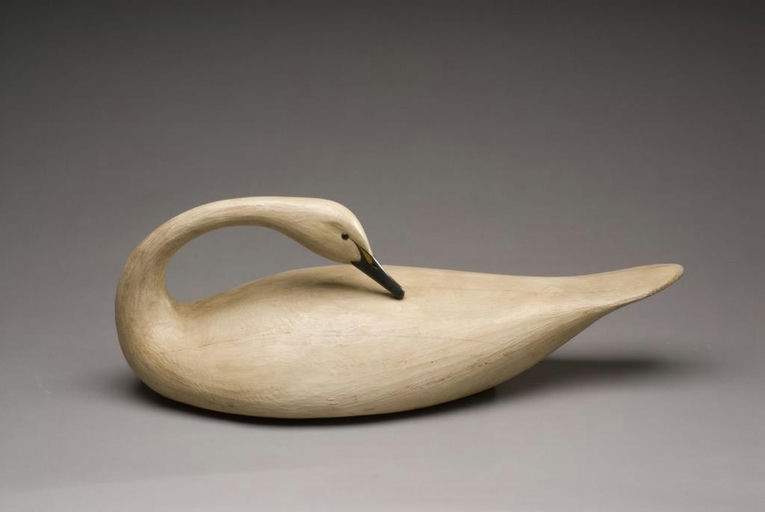 Mark McNair – Preening Swan – 2010