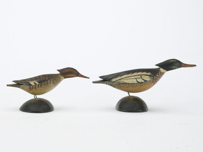 Elmer Crowell – Pair of Merganser – 2024