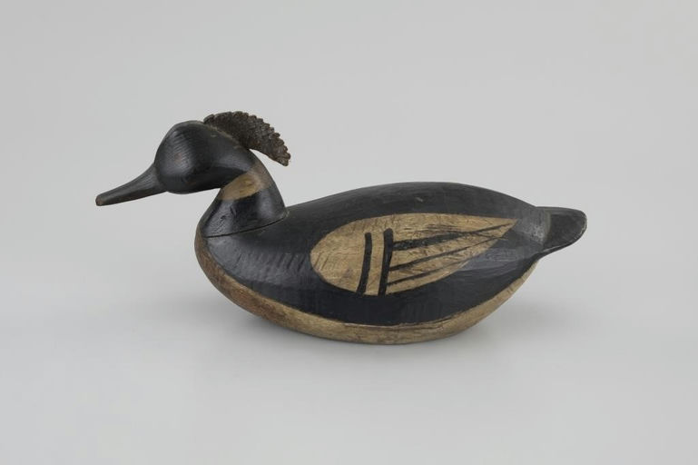 Mark McNair – Early Hooded Merganser – 2026