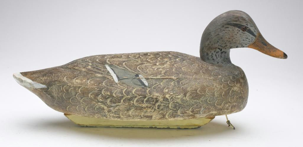 Ben Schmidt – Mallard Hen – 2023