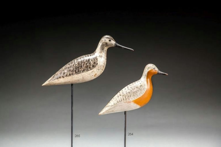 Harry V. Shourds – Yellowlegs – 2016