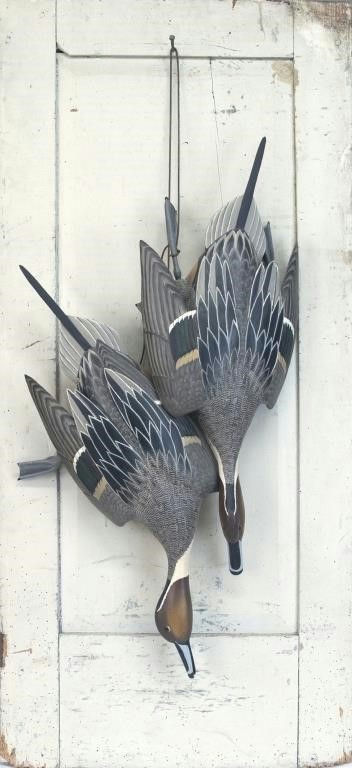 Grayson Chesser – Hanging Pintails – 2024