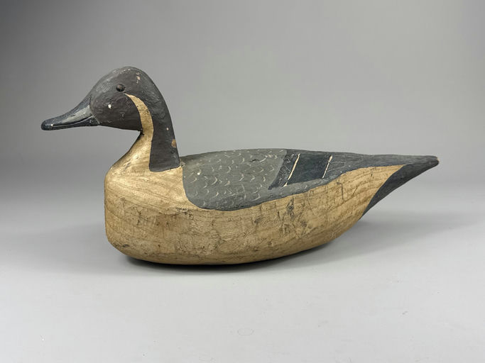 Capt John Smith – Pintail – 2026