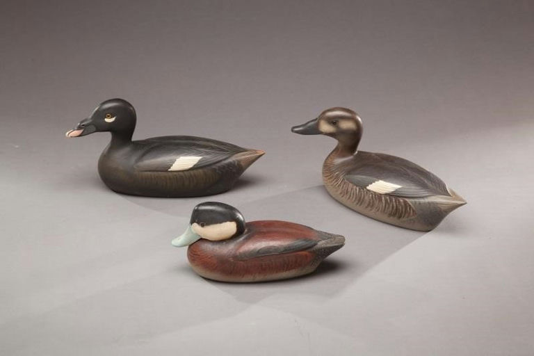 Frank C. Willis – White-winged Scoter Pair and Ruddy Duck Drake – 2012
