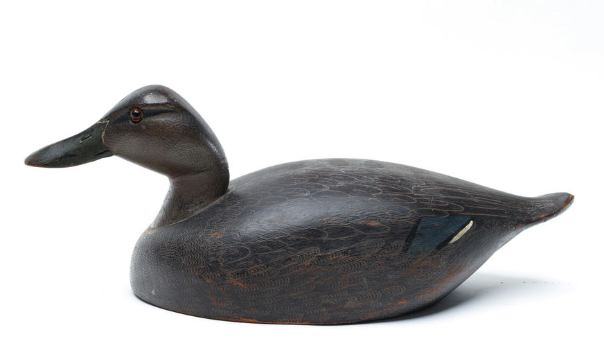 Ken Harris – Black duck – 2026
