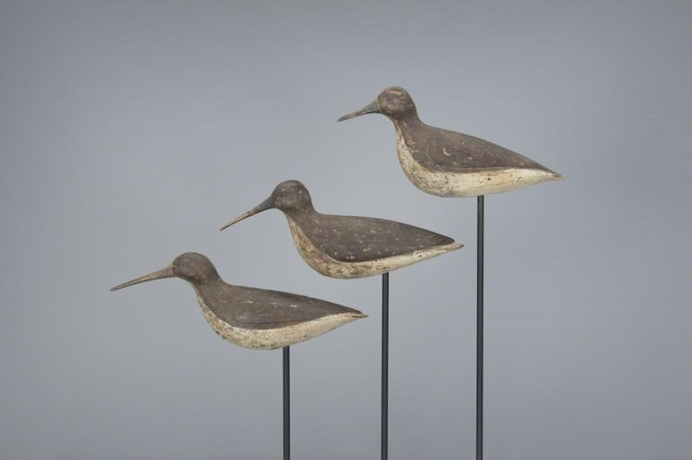 Joe King – Three Dowitcher – 2017