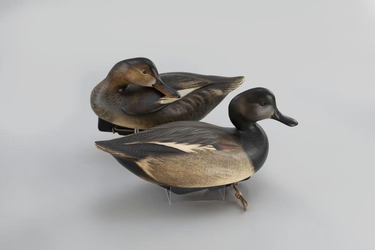 Jim Schmiedlin – Gadwall Pair – 2026