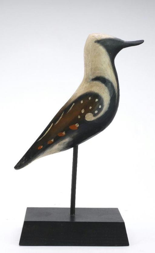 Pete Peterson – Ruddy Turnstone – 2024