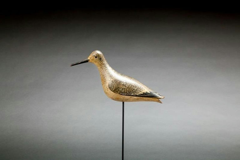 John Dilley – Willet – 2014